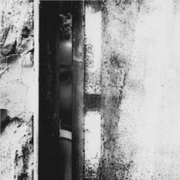 Yara Bsaibes One Eye